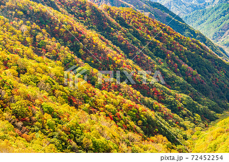 (栃木県)奥日光半月山登山道、紅葉した山並み (栃木県)奥日光半月山登山道、紅葉した山並み 72452254