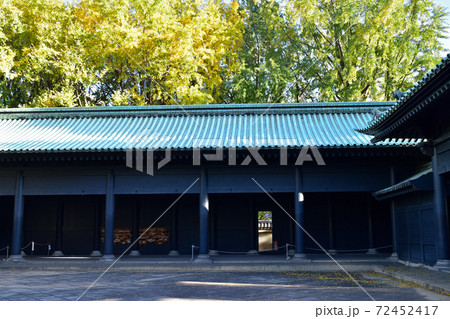 湯島聖堂回廊と銀杏 湯島聖堂回廊と銀杏 72452417