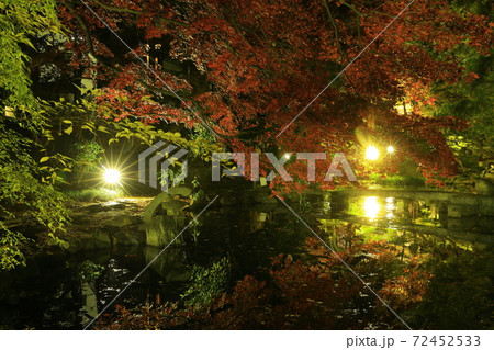 紅葉ライトアップの南昌荘 紅葉ライトアップの南昌荘 72452533