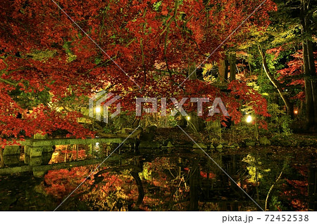 紅葉ライトアップの南昌荘 72452538