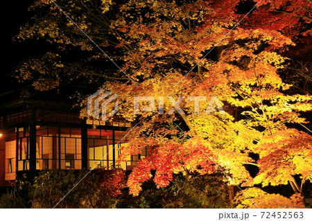 紅葉ライトアップの南昌荘 紅葉ライトアップの南昌荘 72452563