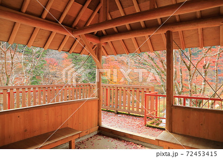 里山の色ずく季節 豊田市大井平公園 里山の色ずく季節 豊田市大井平公園 72453415