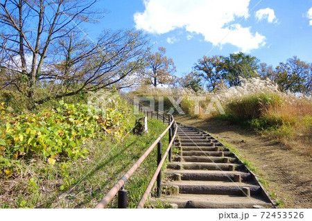 横浜 こども自然公園 (大池公園) 横浜 こども自然公園 (大池公園) 72453526