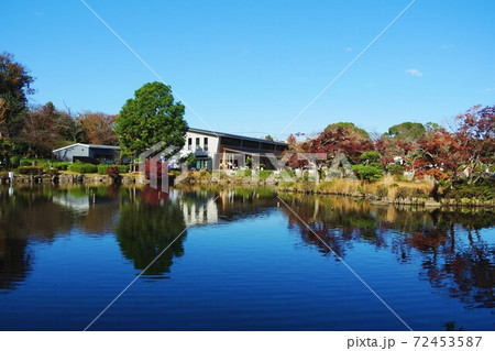 横浜 こども自然公園 (大池公園) 横浜 こども自然公園 (大池公園) 72453587