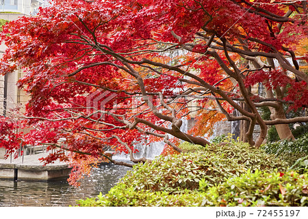 御殿山トラストシティの庭園　東京都品川区 72455197