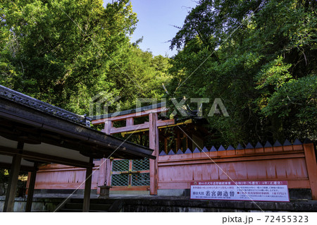 春日大社　若宮神社　奈良県奈良市 72455323
