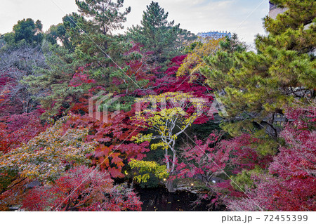 御殿山トラストシティの庭園　東京都品川区 72455399