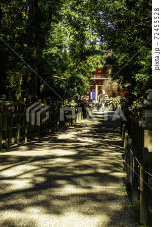 春日大社　石燈籠　奈良県奈良市 72455528
