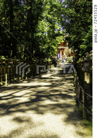 春日大社　石燈籠　奈良県奈良市 72455529