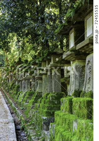 春日大社　石燈籠　奈良県奈良市 72455535