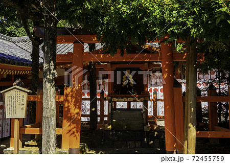 春日大社　大宮　多賀神社　奈良県奈良市 72455759