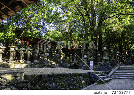 春日大社 大宮 石燈籠 奈良県奈良市 春日大社 大宮 石燈籠 奈良県奈良市 72455777
