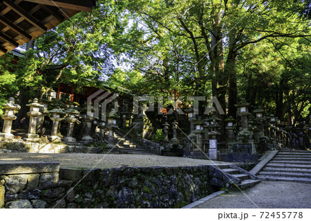 春日大社　大宮　石燈籠　奈良県奈良市 72455778