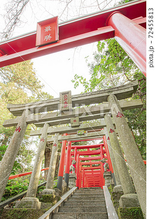 茨城の日光東照宮 72455813