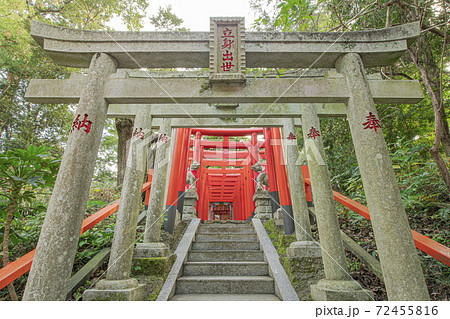 茨城の日光東照宮 72455816