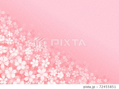 桜の花が斜めに広がる背景イラスト No.01 72455851