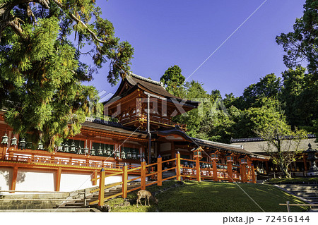 春日大社 中門・御廊 奈良県奈良市 春日大社 中門・御廊 奈良県奈良市 72456144