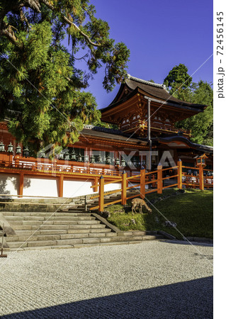 春日大社　中門・御廊　奈良県奈良市 72456145