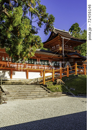 春日大社　中門・御廊　奈良県奈良市 72456146