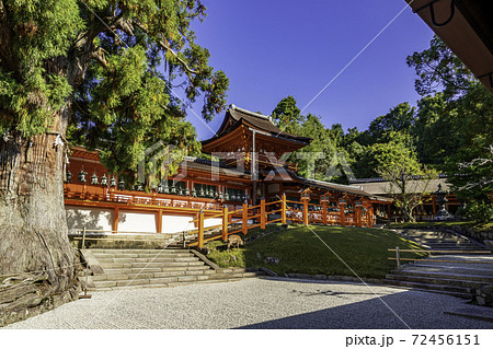 春日大社 中門・御廊 奈良県奈良市 春日大社 中門・御廊 奈良県奈良市 72456151