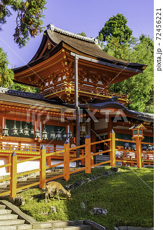 春日大社　中門・御廊　奈良県奈良市 72456221