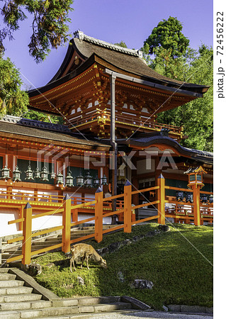 春日大社　中門・御廊　奈良県奈良市 72456222