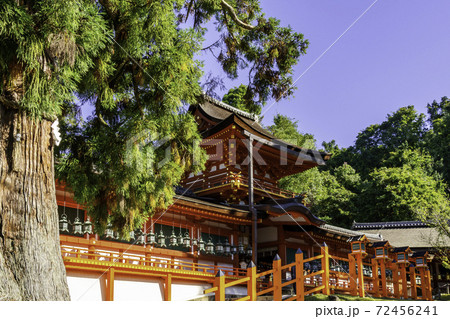 春日大社　中門・御廊　奈良県奈良市 72456241