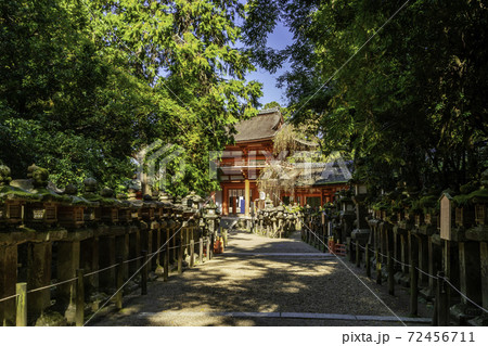 春日大社　南門　奈良県奈良市 72456711