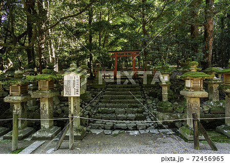 春日大社　本宮神社遥拝所　奈良県奈良市 72456965