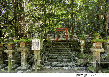 春日大社　本宮神社遥拝所　奈良県奈良市 72456966