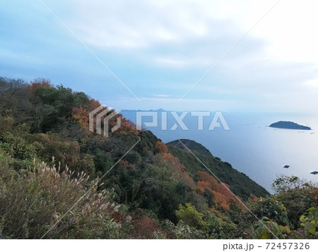 万葉の岬から見る初冬の風景 72457326