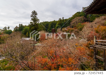 奈良県　秋の長谷寺 72457445