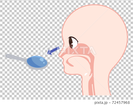 Illustration of swallowing process_preceding period (cognition) 72457968