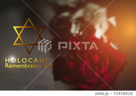 International holocaust remembrance day, star of david on rose on background 72458018