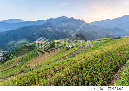 Terraced rice paddy field landscape of Mu Cang Chai, Yenbai, Northern Vietnam Terraced rice paddy field landscape of Mu Cang Chai, Yenbai, Northern Vietnam 72458064