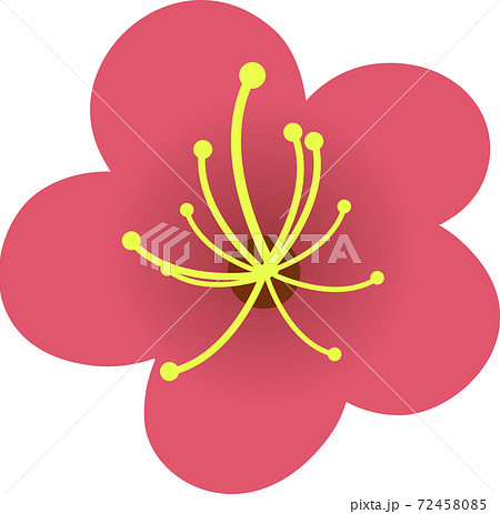 シンプルな梅の花のイラストのイラスト素材