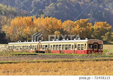 紅葉の小湊鉄道 72458115