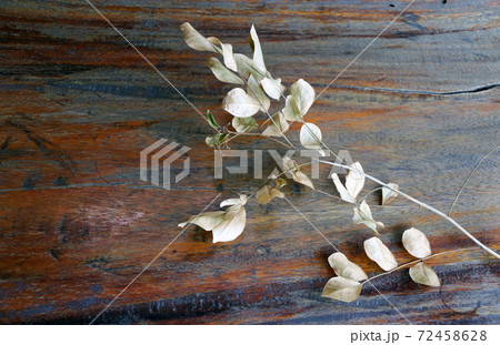 Top view of Dry branches and Leaves with light brown color on the wooden table. Top view of Dry branches and Leaves with light brown color on the wooden table. 72458628