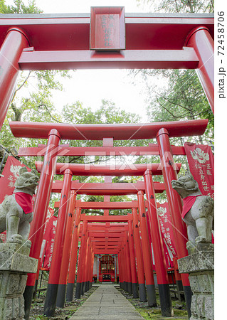 茨城の日光東照宮 72458706