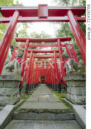 茨城の日光東照宮 茨城の日光東照宮 72458708