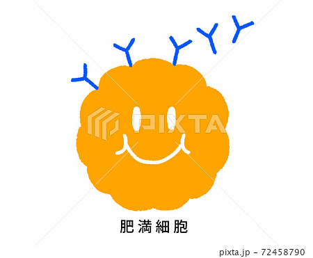 花粉症・アレルギーのメカニズム　肥満細胞とIgE抗体 72458790