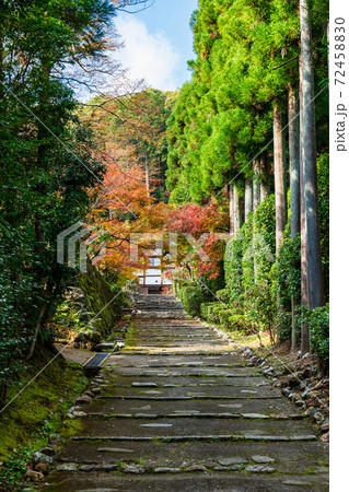 秋の京都　正伝寺　参道石段 72458830