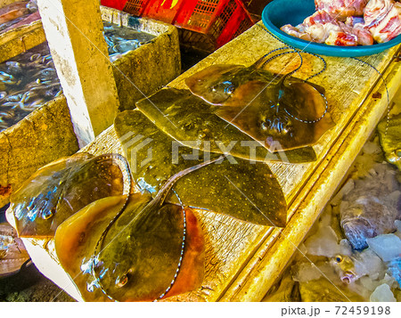 Close up of fresh stingray on open market Close up of fresh stingray on open market 72459198