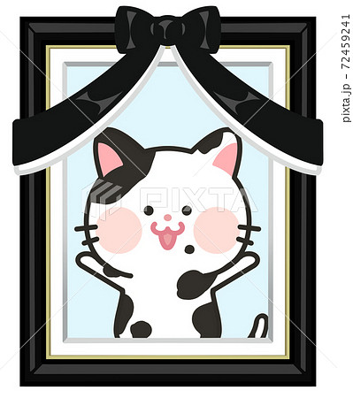 遺影写真　ペット　猫 72459241