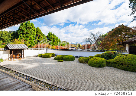 秋の京都　正伝寺　方丈庭園 72459313