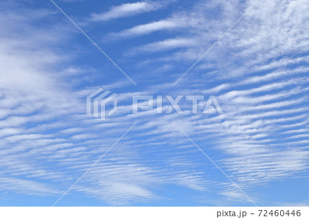 秋空（背景素材） 72460446