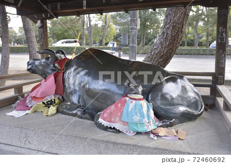 なでうし　北野天満宮 72460692