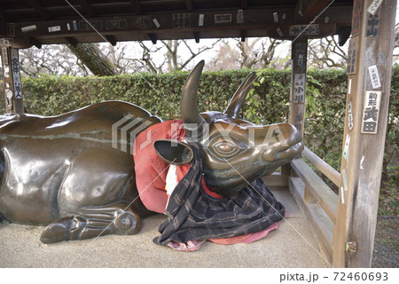 なでうし　北野天満宮 72460693