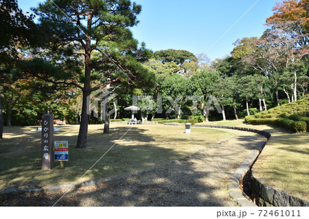 秋イメージ 大磯城山公園 秋イメージ 大磯城山公園 72461011