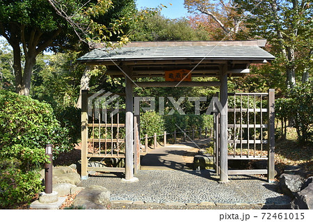 秋イメージ　大磯城山公園 72461015